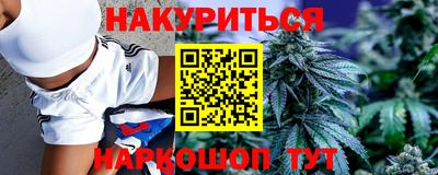 стафф Гусев