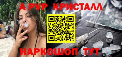 стафф Гусев