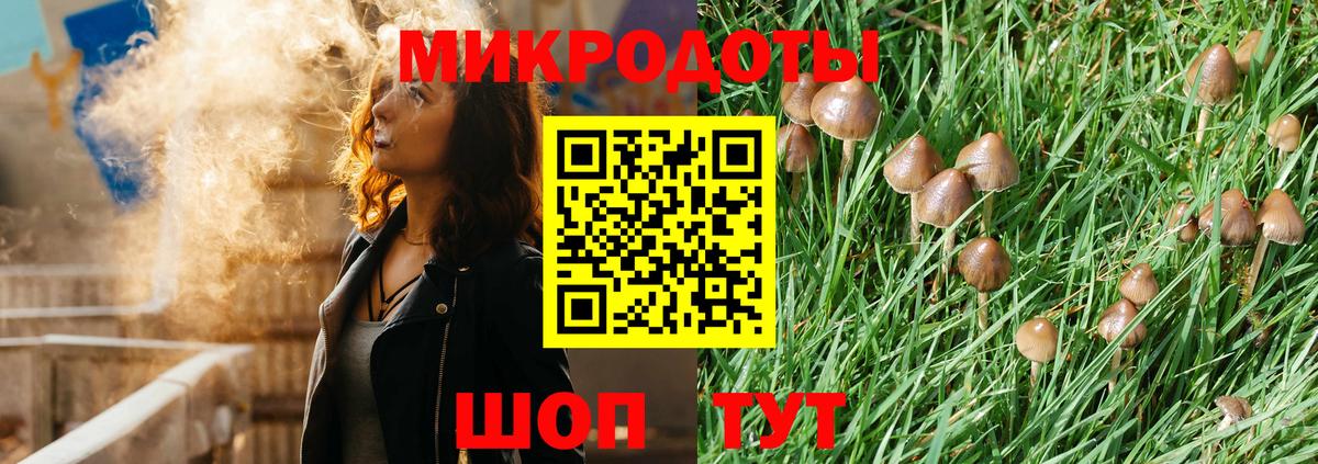 Галлюциногенные грибы Cubensis Мыски